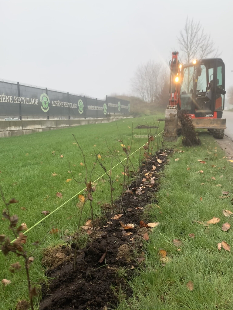 Plantation en ligne d’une jeune haie avec préparation mécanique du terrain